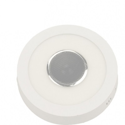 Panel bluetooth techo, pared. Gordo