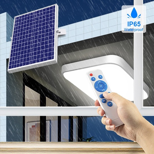 [33806] LAMPARA 100W SOLAR TECHO RK100LT (copia)